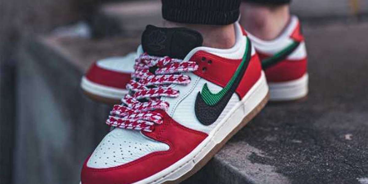 Nike Dunk Low SB Frame Skate Habibi