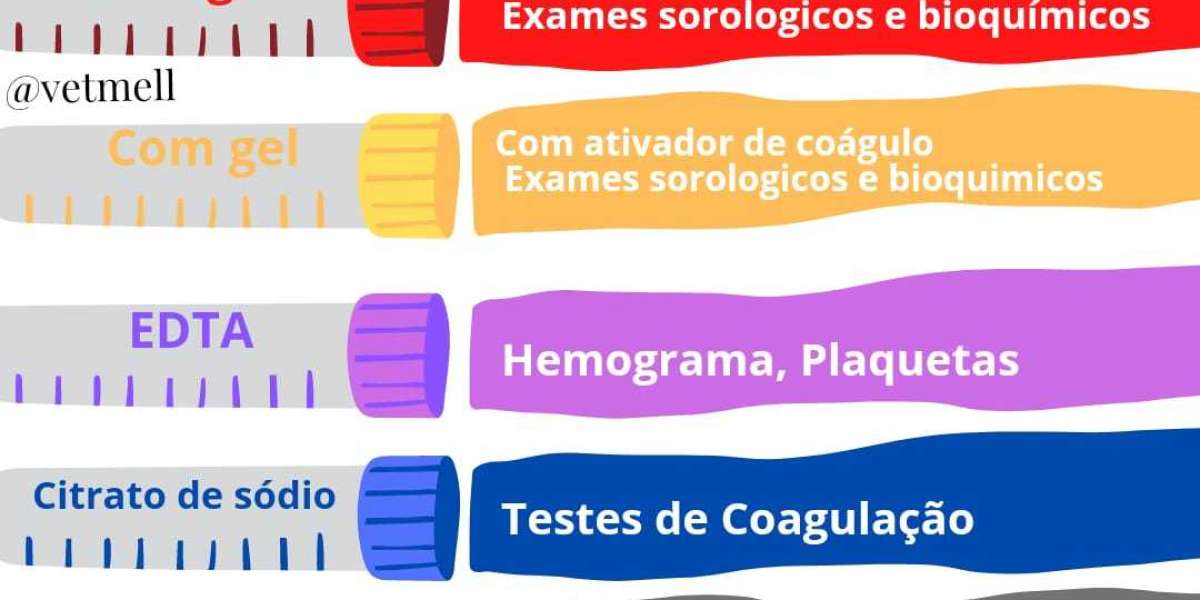 Cat Blood Test Normal Values & Results Explained by Our Vet