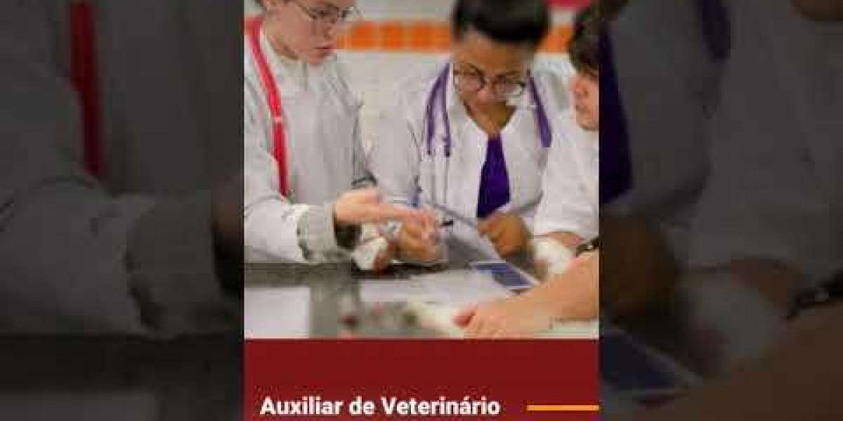 Ultrassom Veterinário: A Chave para Diagnósticos Precoces e Precisos para Seu Pet