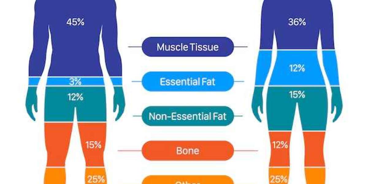 Estructura y función del cuerpo humano: un análisis completo y detallado Todo sobre Biología y Salud