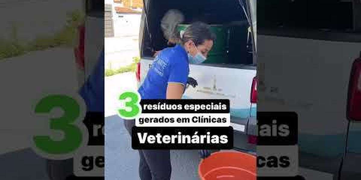 Radiografías en Perros: Guía Completa Veterinaria Juriquilla