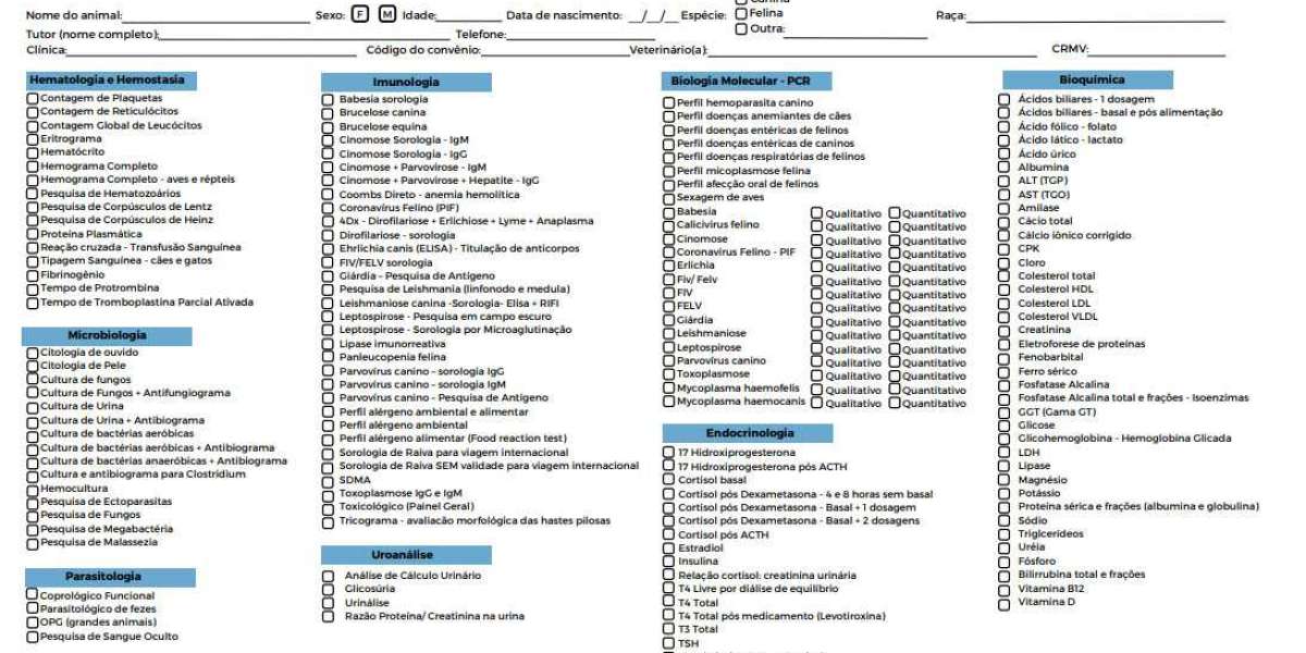 Diagnóstico por imagen Diagnóstico por imagen