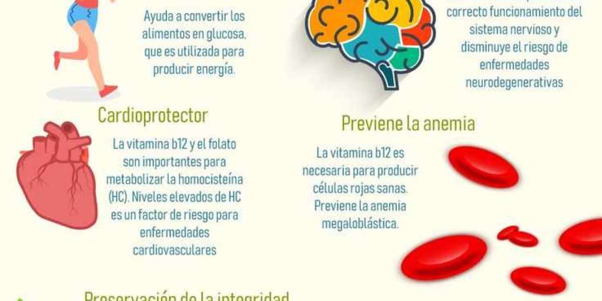 Vitamina B12, para qué sirve y beneficios para el organismo