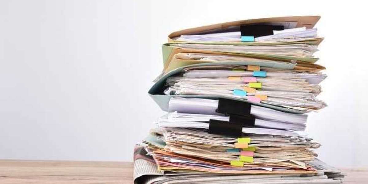 Organize Like a Pro: Your Document Solution