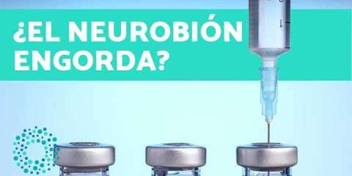 La ruda planta: descubre sus propiedades y usos medicinales