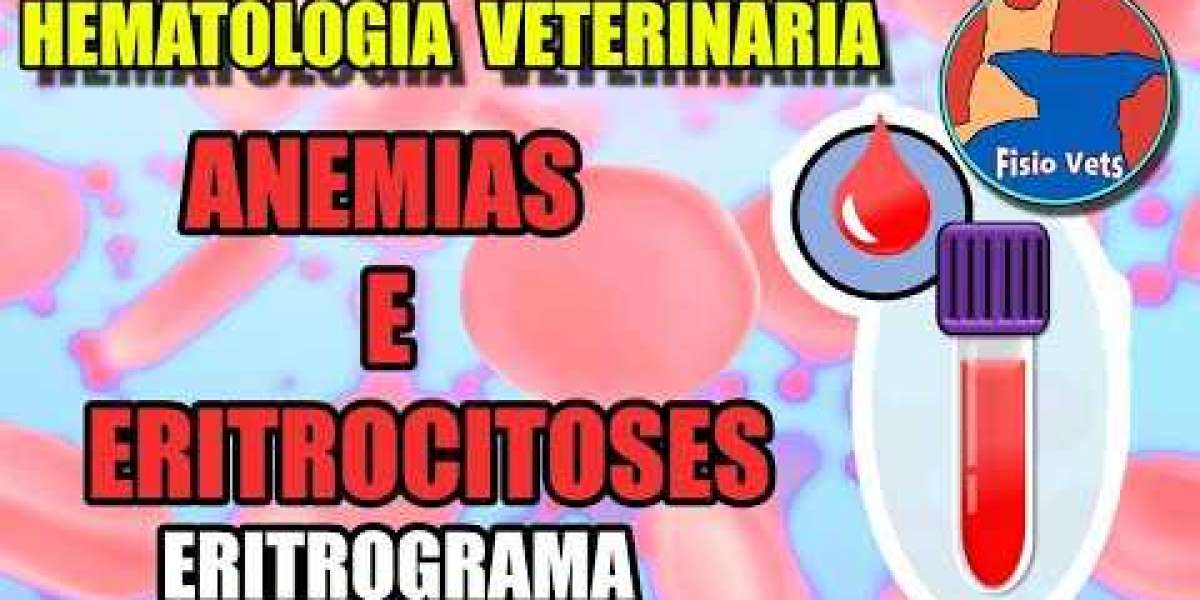 As Especialidades que Mais Valem no Mercado Veterinário